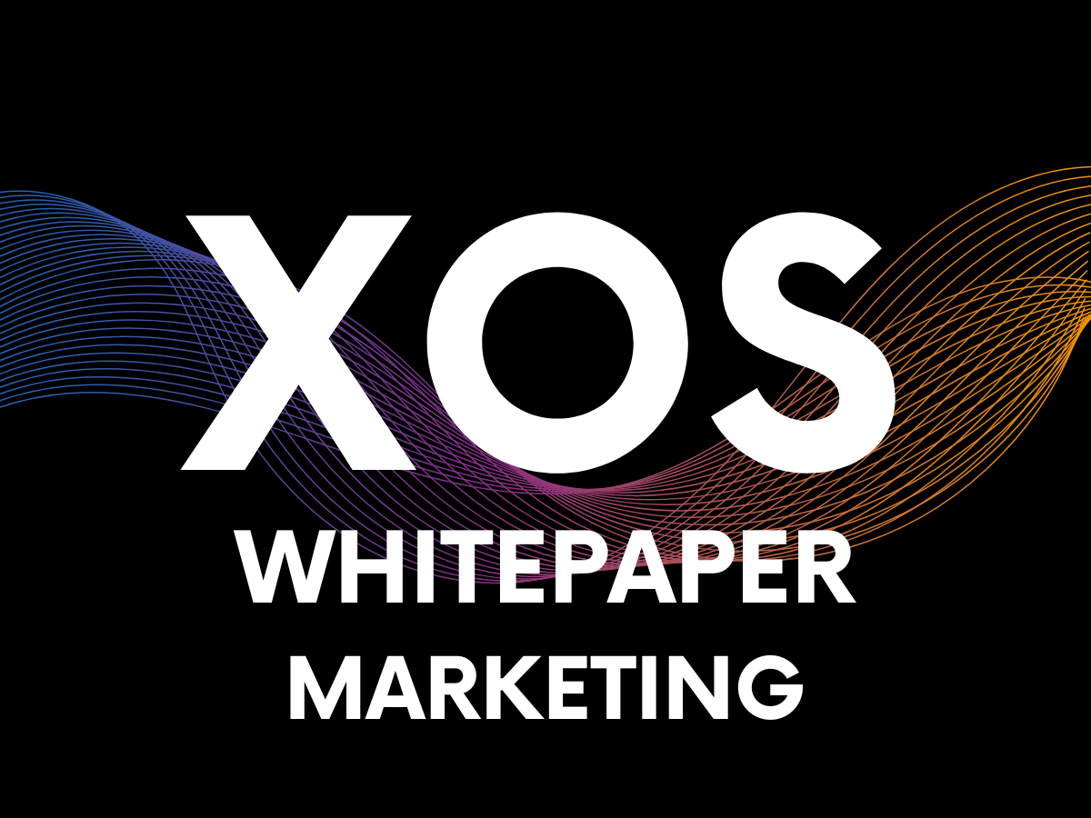 XOS Marketing – Von der Kampagne zur Conversion